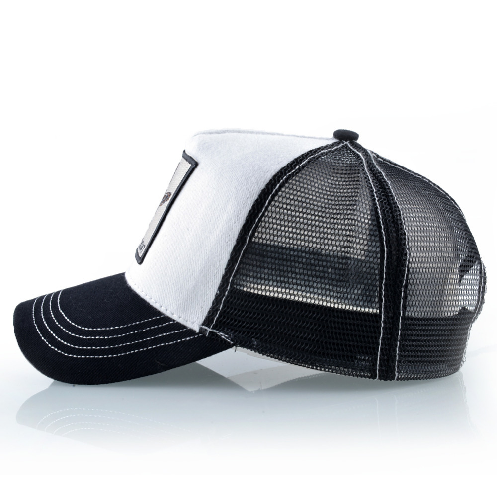 Mode Baseball Kappe Männer Fra – Streetwear Brand Beanie Bewertung und Preis